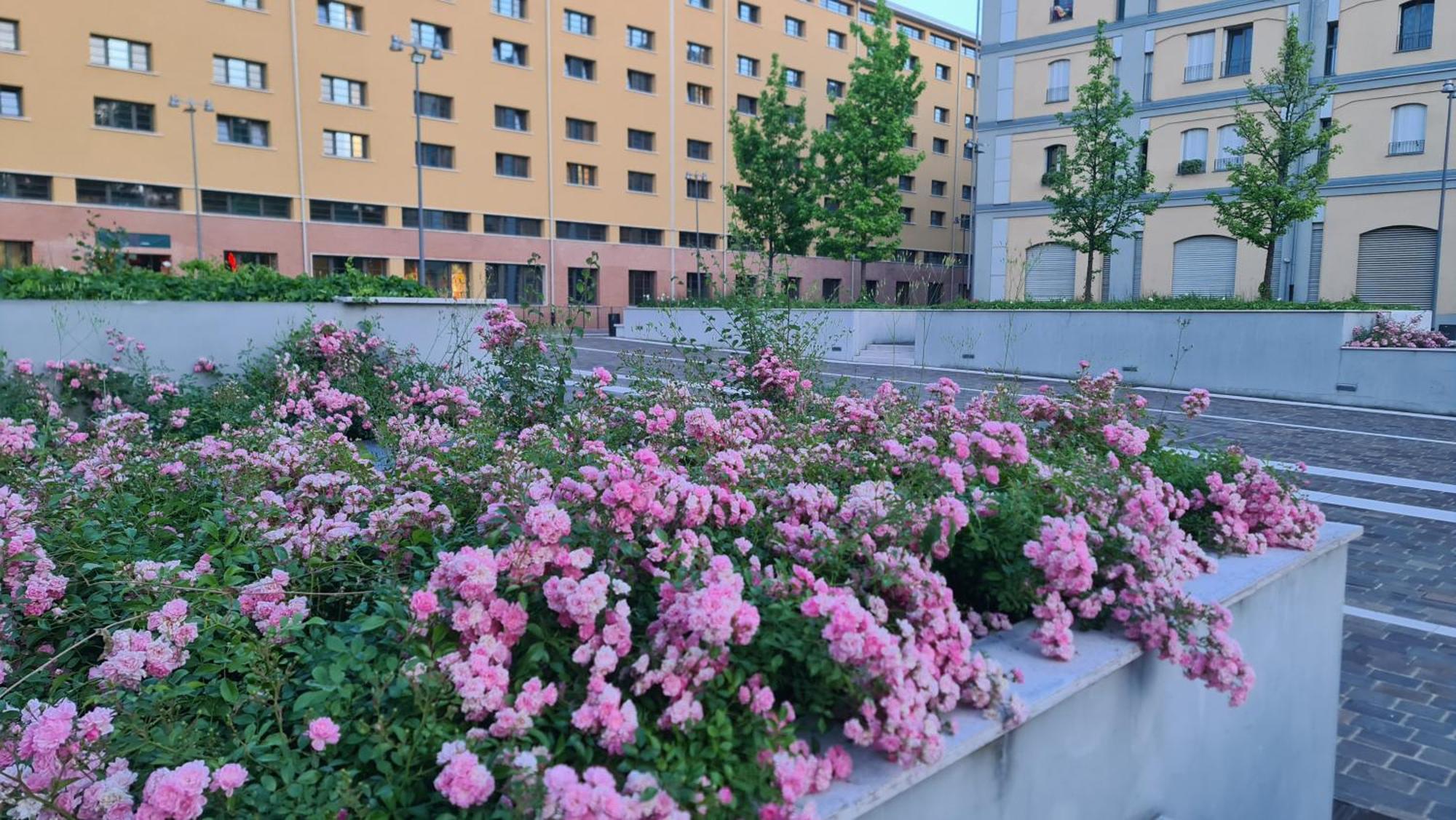 Milan Space Loft - Apartment Close To M5 Subway - Free Parking - Sky & Netflix Tv Exterior photo